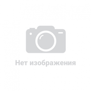 Здорникова Майя Викторовна